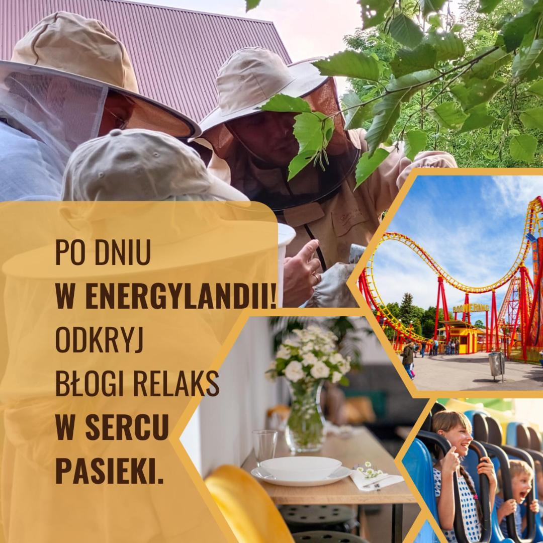 Miodowa Zagroda - Nocleg Zator Energylandia Miejsce Екстериор снимка